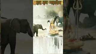 Shiv Ji, Mahadev, Bholenath, Dhukh Haru Mahadev Karu Kripa #shorts #shiva #bholenath