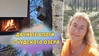 Дача в Эстонии.Первое утро на даче.Дачные влоги с побережья Чудского озера.Эстония.Семейный влог