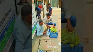 চাচার কলার ব্যবসা জমজমাট!
