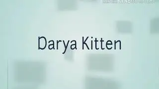 Как придумать и нарисовать оску канала
