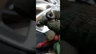 Готовим сани летом