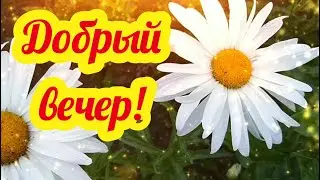 ДОБРЫЙ ВЕЧЕР! Открытки добрый вечер Пожелания доброго вечера! Музыкальные открытки  с добрым вечером