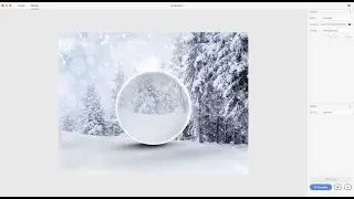 How to add 3D object into your photo using Adobe Project Felix