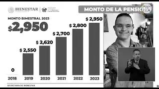 Informe Becas para personas con discapacidad 2022. $2950.00 para 2023