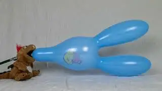 013 - blow to pop a strong rabbit balloon from Asia