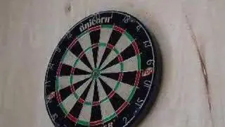 world champion darts