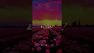 #qibla_tv #youtubeshorts #youtube #shortsfeed #youtube #shortvideo #shorts (2)