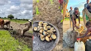NOT YOUR ORDINARY VILLAGE LIFE | What they don't show you about the Village life in Namibia |