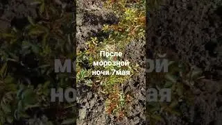 7 мая 2023 г.