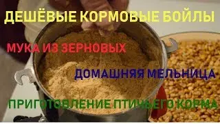 Boilies do-it-yourselfers. Part 1. Making flour from cereals, home mill, bird food.