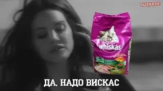 ВИНОВАТ ЗАПОЙ (ПОСЛЫШАЛОСЬ)