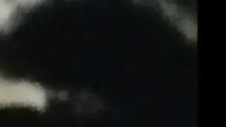 Pussy crew 2