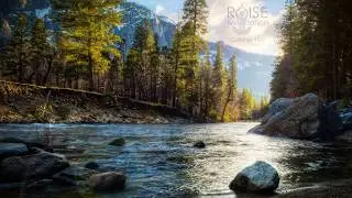 Raise Meditation - Floating Leaf Visualization with Stephanie