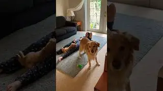 My dog wishes he was still a puppy