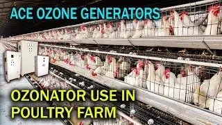 Ozone Generator for Poultry farm | Ozonator