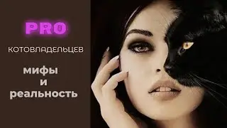 Pro Котовладельцев.Мифы и реальность.Типы хозяев.