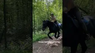 Звук, который лучше любой музыки 