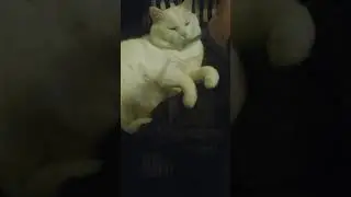 Yes, he's cute