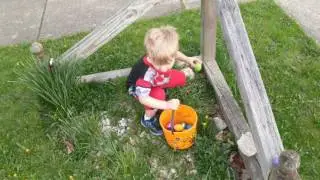 Easter Egg Hunt