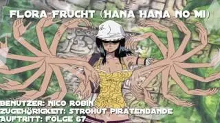ALLE Teufelsfrüchte von One Piece (Anime)