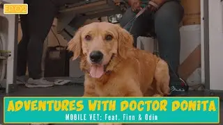 Episode 2: A FIGHT to the FINISH on Surgery Day | Mobile Vet Adventures with Dr. Donita