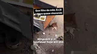 ATOR DO ANO