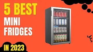 Top 5 BEST Mini Fridges in 2023