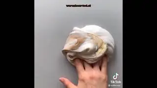 история из тик тока история из жизни