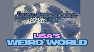 Texas SnowMageddon Feb 2021