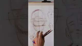 Система структуры лба