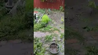 Дожди