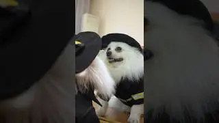 Nico:I defeated my rival! 