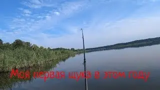 Рыбалка на спиннинг. Моя первая рыба на спиннинг в этом году!!!