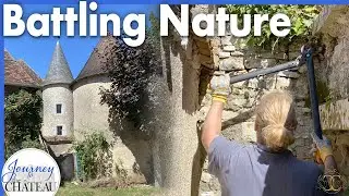 Battling Nature - Invasive Ivy is DESTROYING the Chateau Tower! - Journey to the Château, Ep. 229
