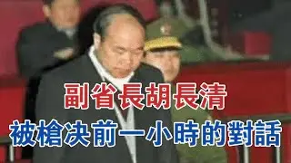 副省長胡長清，被槍決前一小時的對話 #大案紀實 #刑事案件 #案件解說