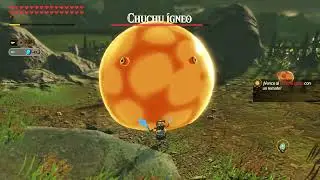 EX: Subvención a la investigación - Hyrule Warriors: Age of Calamity