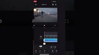 Volume: Adjusting a Video's Volume