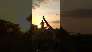 Capturing Sunset background #photoshoot #photography #capture #sunset #background #shorts