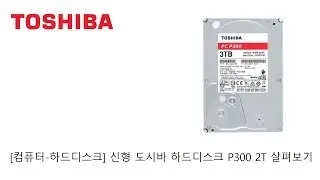 [컴퓨터-하드디스크] 신형 도시바 하드디스크 P300 2T 살펴보기