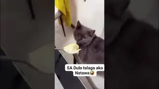 Durian Challenge