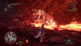 MHW | Killing 2 Radobans