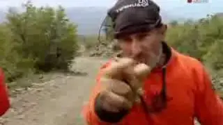 El Korta Verdadero