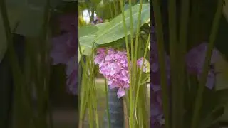 HOTELS FILMED AT THE NAVUTU HOTEL