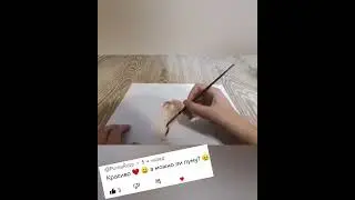 рисование подписчиц (извините что 1 вышла не очень) и пумы😻🐾👭🖌️