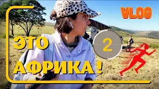 Гонка серии UTMB в ЮАР | Влог из Африки | Кейптаун | Часть 2
