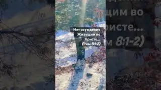 Стих дня 