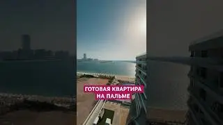 +971 55 554 7026 (whatsapp) НЕДВИЖИМОСТЬ В ДУБАЕ #дубай #недвижимость