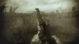 S.T.A.L.K.E.R. Чисто по фану...