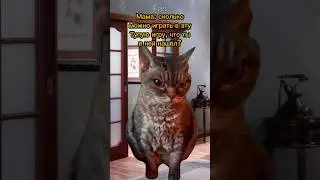 Игры - это Выход?🥹 Пародия на @Danya_rodnoy 