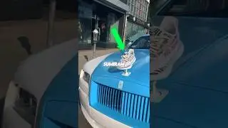 Why did these embellishments disappear from luxury cars??!!